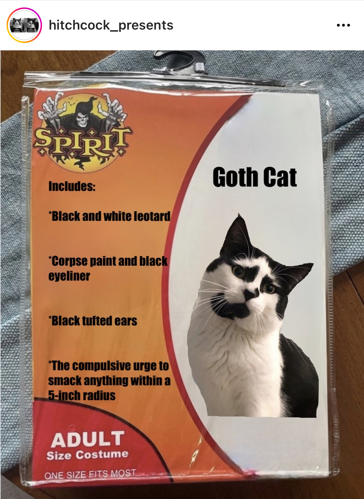 Costume Memes - spirit halloween - hitchcock presents Spirit Includes Black and white leotard Corpse paint and black eyeliner 'Black tufted ears The compulsive urge to smack anything within a 5inch radius Adult Size Costume One Size Fits Most Goth Cat