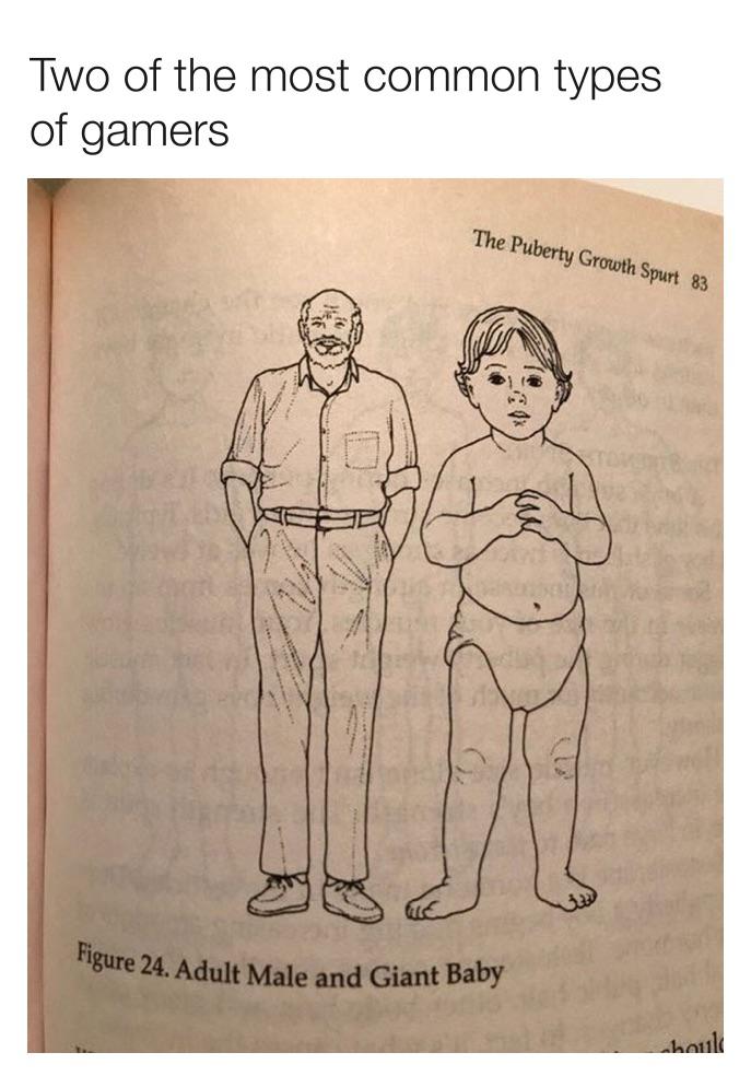 monday morning randomness - science diagrams that look like baby - Two of the most common types of gamers The Puberty Growth Spurt 83 Wal Figure 24. Adult Male and Giant Baby should