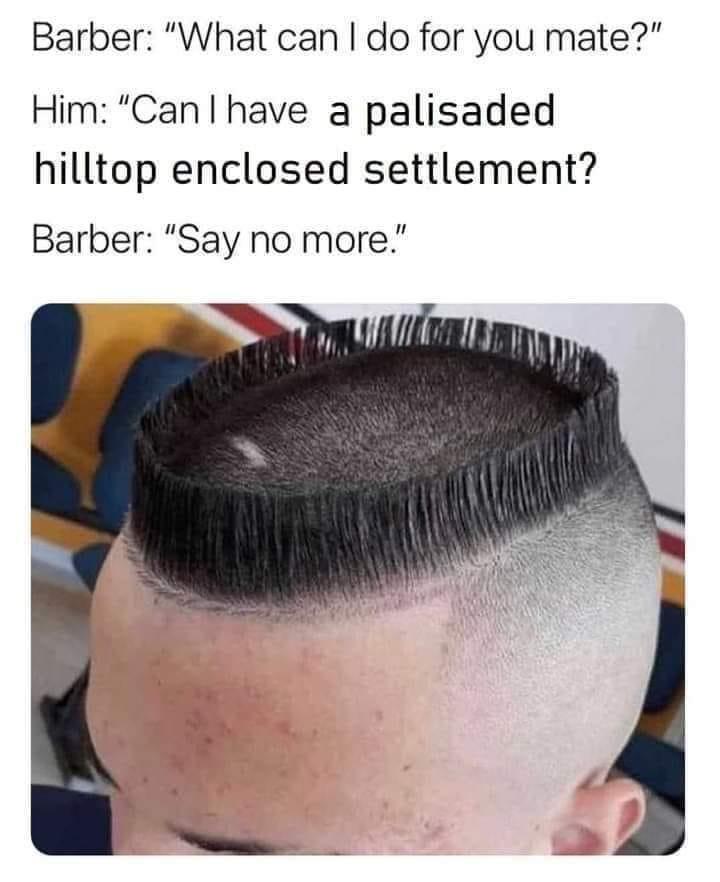 monday morning randomness - memes cut - Barber "What can I do for you mate?" Him "Can I have a palisaded hilltop enclosed settlement? Barber "Say no more."