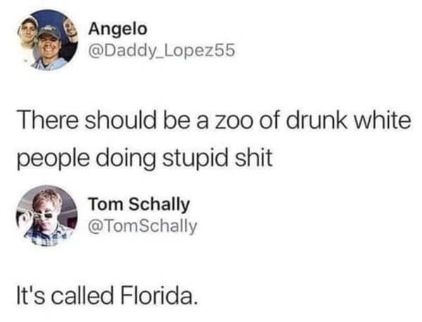 posts that made us hold up - it's called florida meme - Angelo There should be a zoo of drunk white people doing stupid shit Tom Schally It's called Florida.