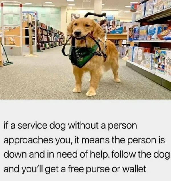 posts that made us hold up - if a service dog approaches you - rtverle if a service dog without a person approaches you, it means the person is down and in need of help. the dog and you'll get a free purse or wallet