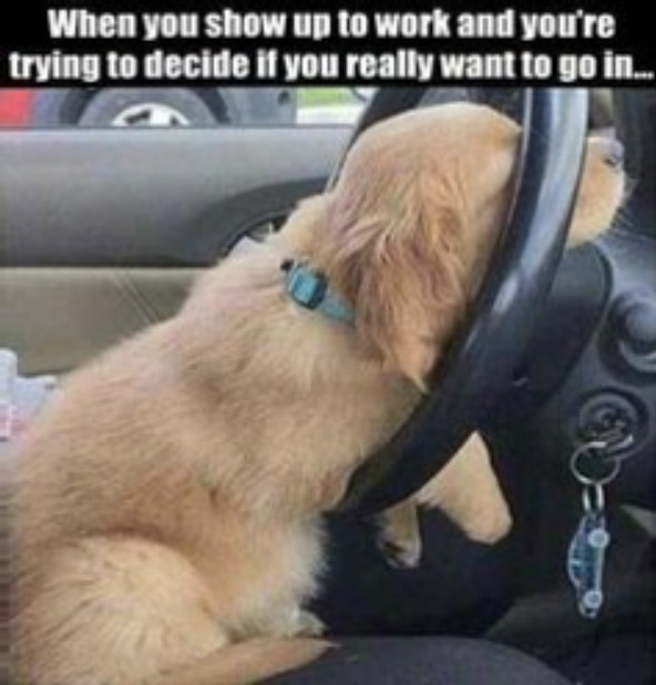 Work memes - funny picture of the day - When you show up to work and you're trying to decide if you really want to go in...
