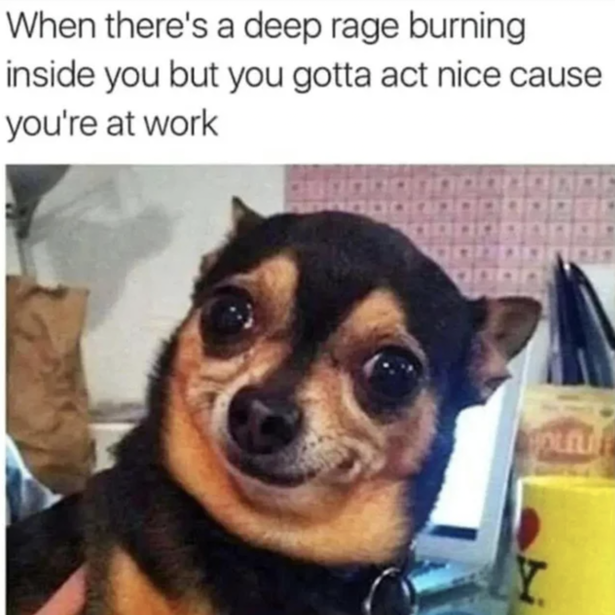Work memes - there's a deep rage burning inside you but you gotta act nice cause you re at work - When there's a deep rage burning inside you but you gotta act nice cause you're at work