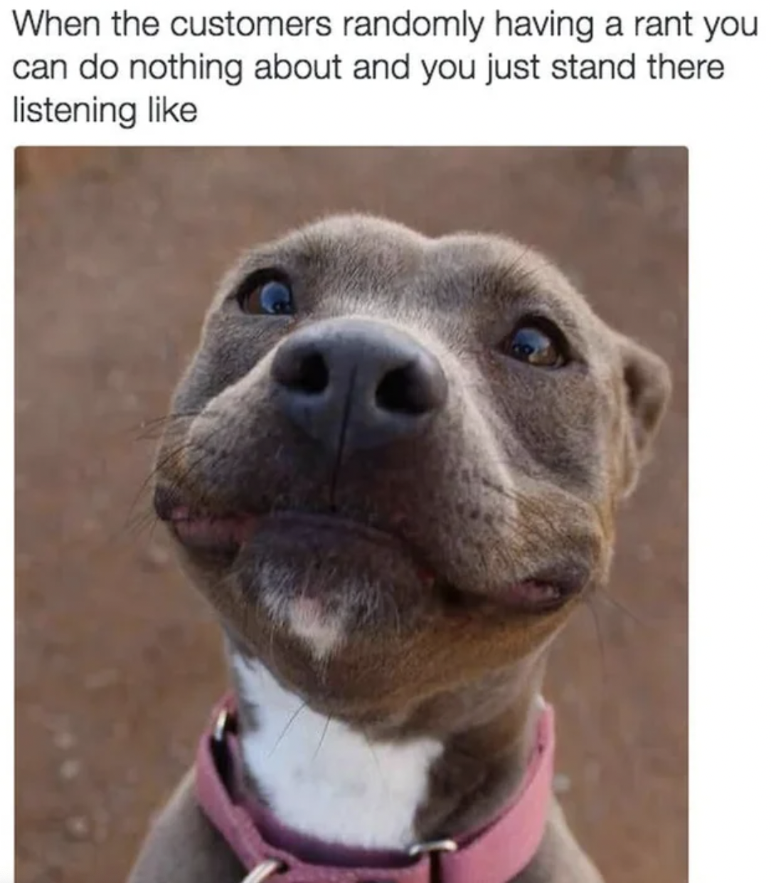 Work memes - snout - When the customers randomly having a rant you can do nothing about and you just stand there listening