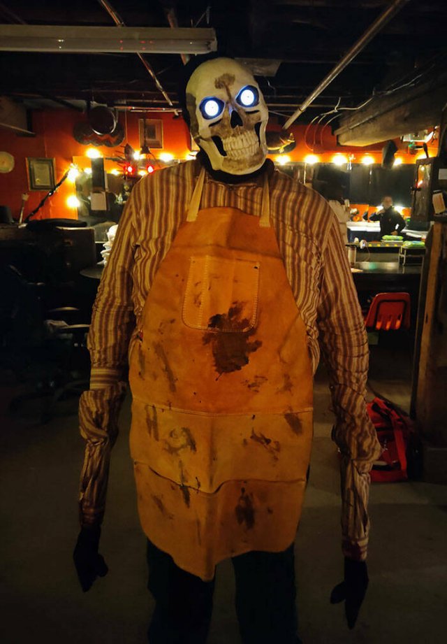 daily dose - costume