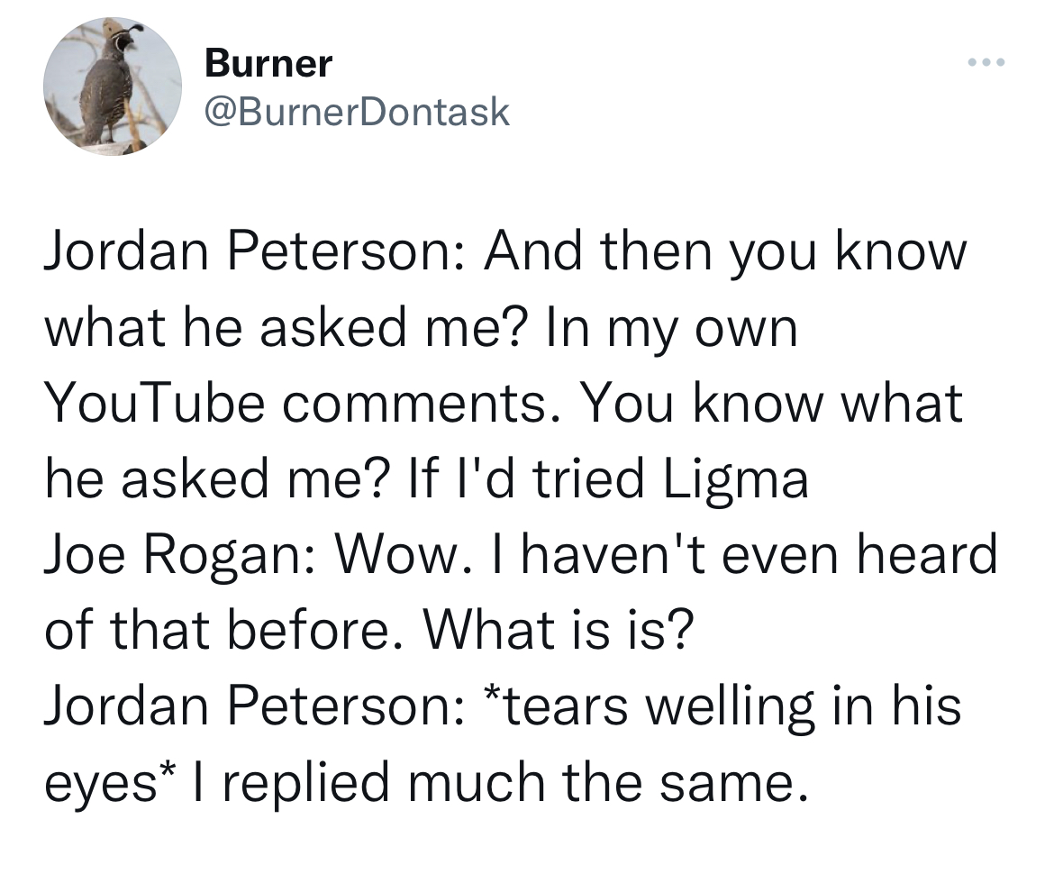 Celebs get roasted on twitter - angle - Burner Jordan Peterson And then you know what he asked me? In my own YouTube . You know what he asked me? If I'd tried Ligma Joe Rogan Wow. I haven't even heard of that before. What is is? Jordan Peterson tears well