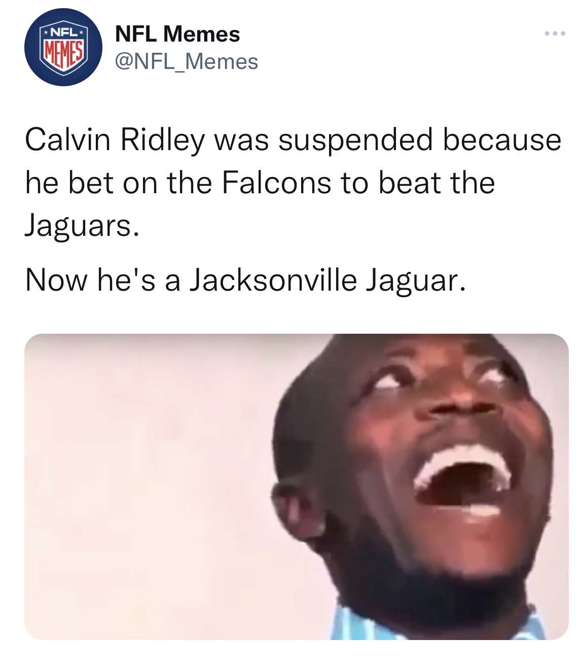 Celebs get roasted on twitter - head - Nfl Nfl Memes Memes Calvin Ridley was suspended because he bet on the Falcons to beat the Jaguars. Now he's a Jacksonville Jaguar.