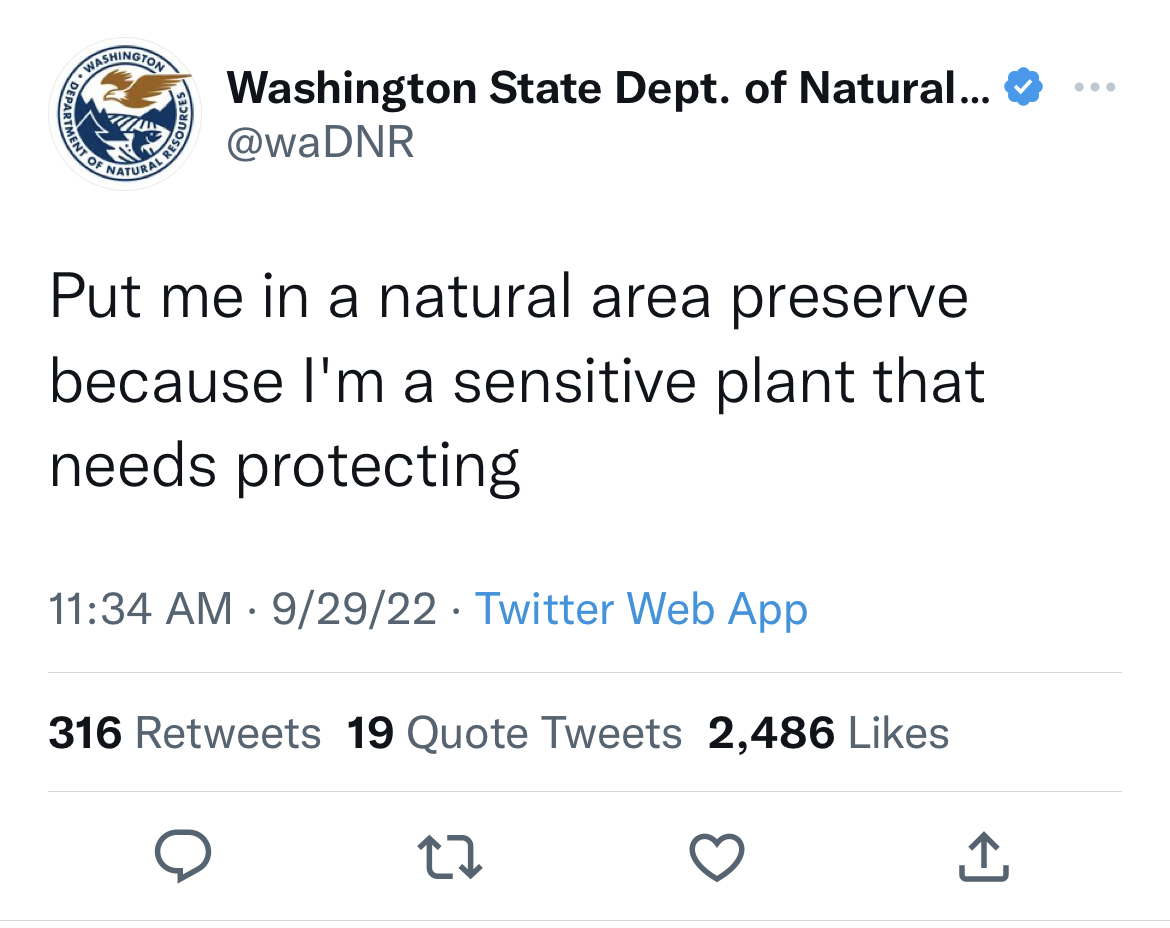 'Washington Department of Natural Resources' Is the Funniest Twitter Account You’re Not Following