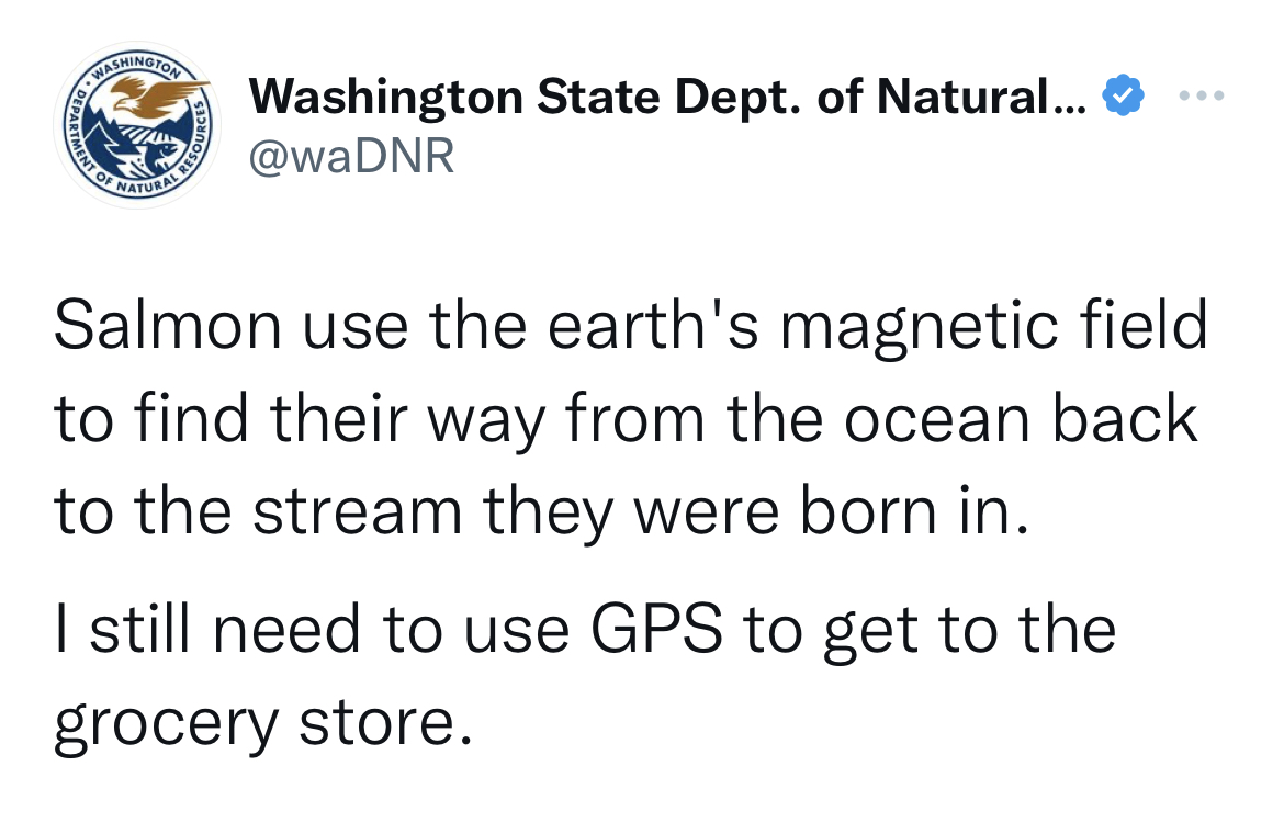 Washington Department of Natural Resources tweets - angle - Ment Of Washington Natural Resou Washington State Dept. of Natural... Salmon use the earth's magnetic field to find their way from the ocean back to the stream they were born in. I still need to 
