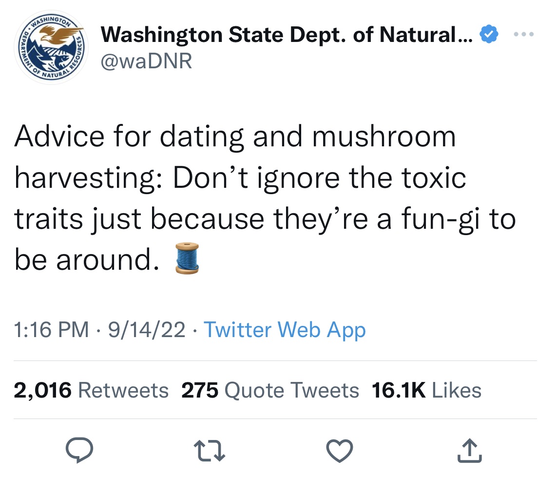 Washington Department of Natural Resources tweets - angle - Sym Depa Shing Resou Washington State Dept. of Natural... Advice for dating and mushroom harvesting Don't ignore the toxic traits just because they're a fungi to be around. 91422 Twitter Web App 