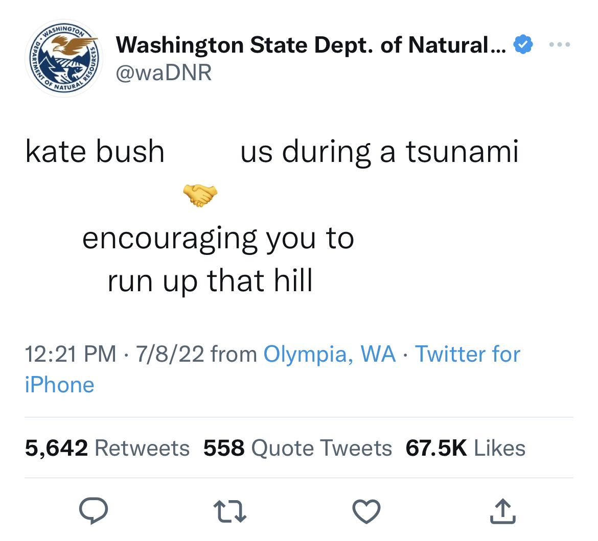 Washington Department of Natural Resources tweets - Internet meme - Ment Of Washington Natural Resou Washington State Dept. of Natural... kate bush us during a tsunami encouraging you to run up that hill 7822 from Olympia, Wa Twitter for iPhone 5,642 558 