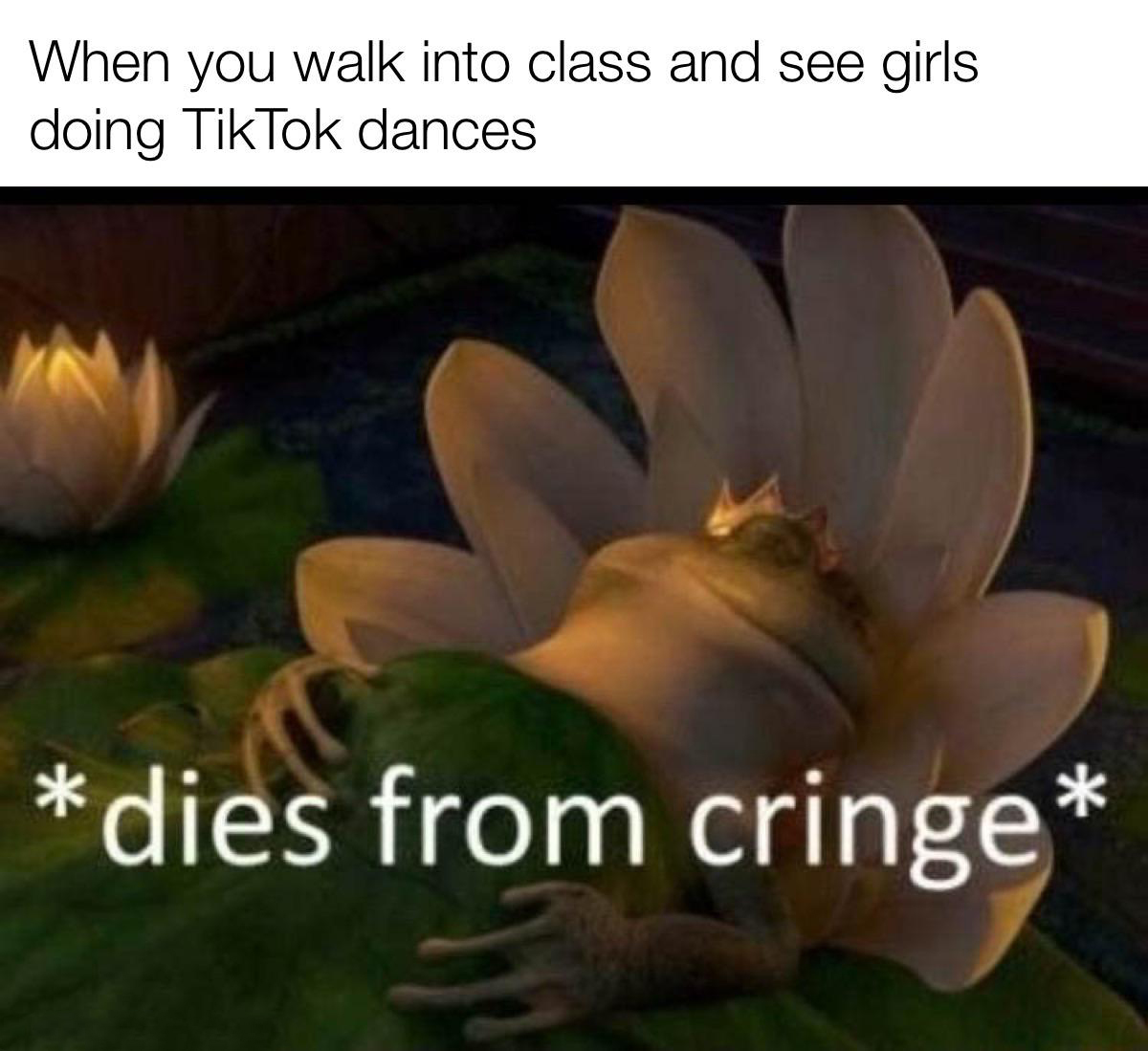 daily dose of memes - turning red cringe meme - When you walk into class and see girls doing TikTok dances dies from cringe