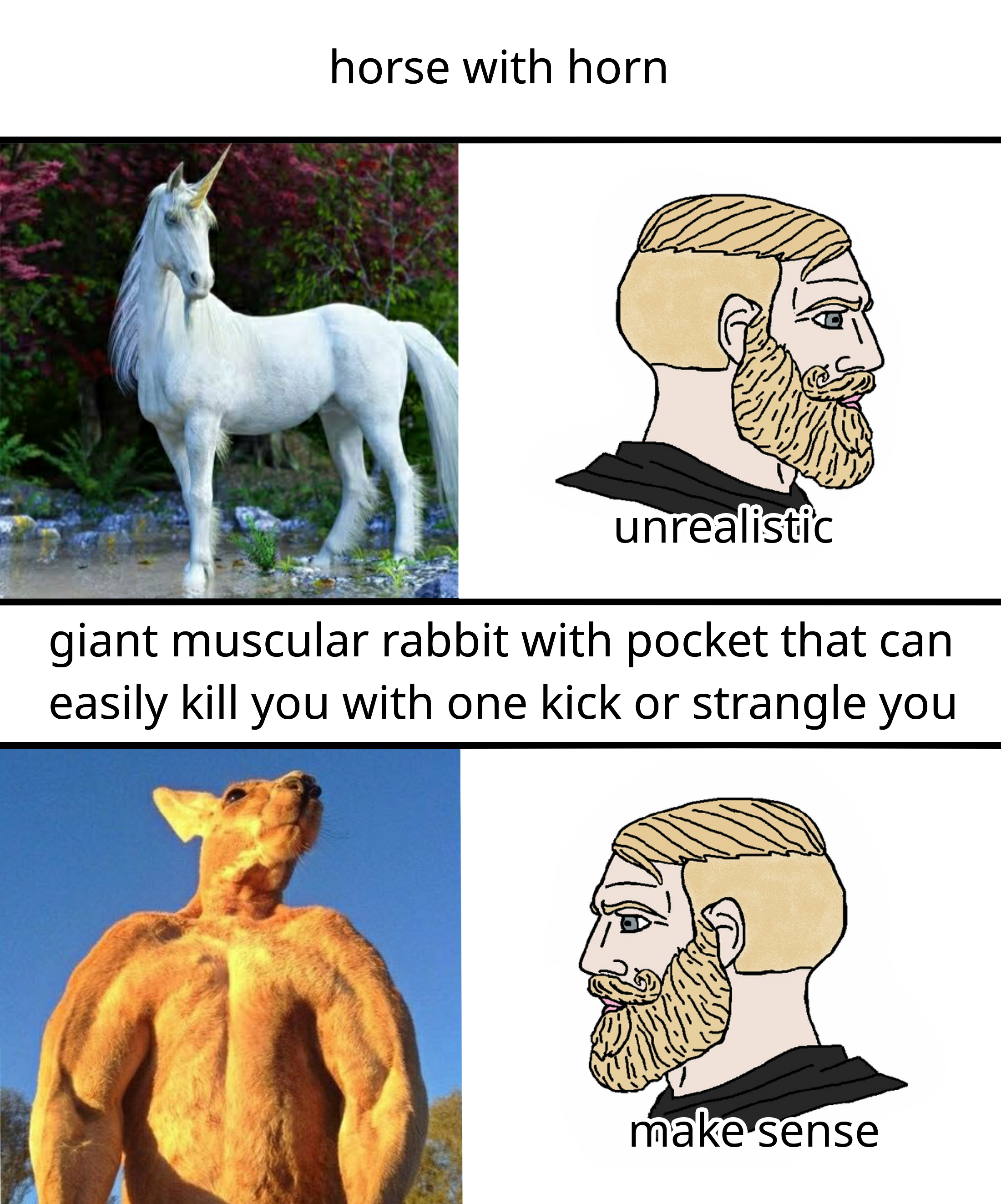 daily dose of memes - cafereisebar - horse with horn unrealistic giant muscular rabbit with pocket that can easily kill you with one kick or strangle you make sense