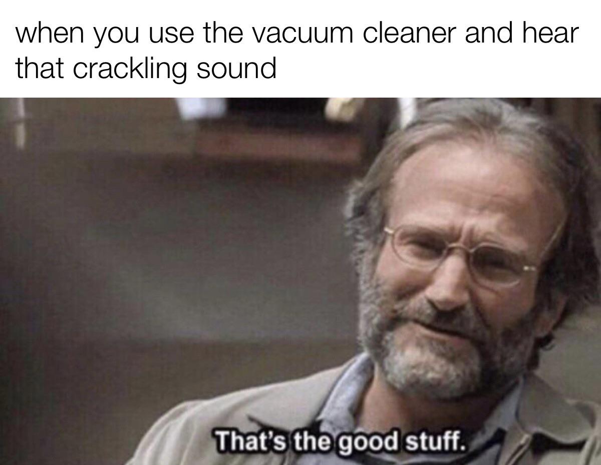 daily dose of memes - Funny meme - when you use the vacuum cleaner and hear that crackling sound That's the good stuff.
