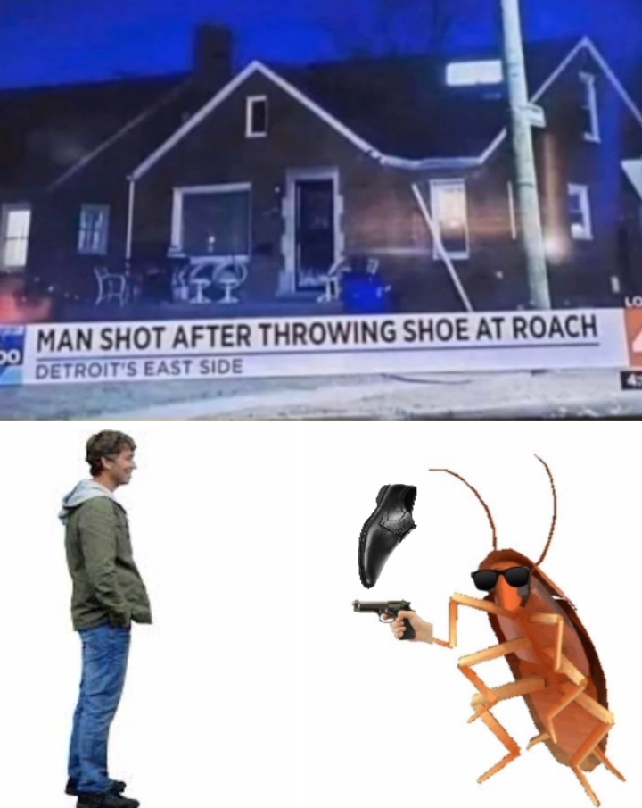 daily dose of memes - snow - 0 13 Man Shot After Throwing Shoe At Roach Detroit'S East Side