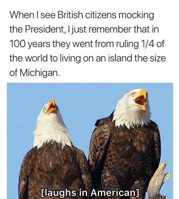 daily dose of memes - british empire memes - When I see British citizens mocking the President, I just remember that in 100 years they went from ruling 14 of the world to living on an island the size of Michigan. laughs in American