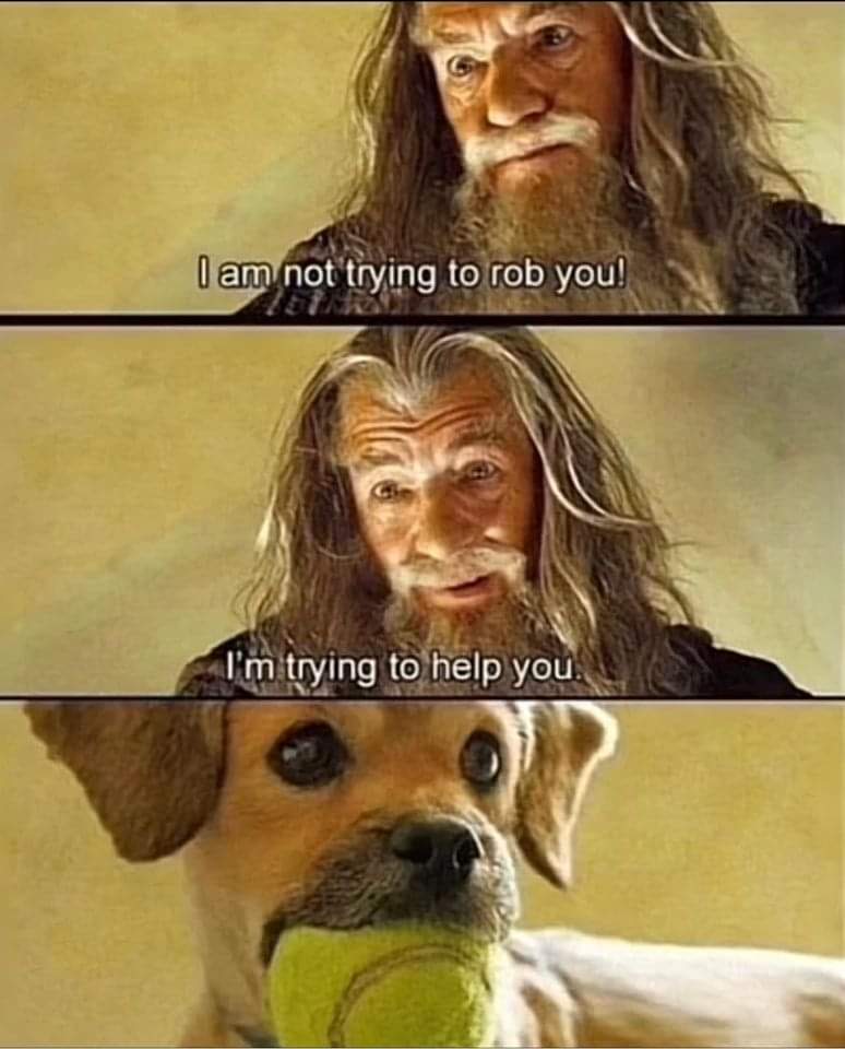daily dose of memes - dog - I am not trying to rob you! I'm trying to help you.