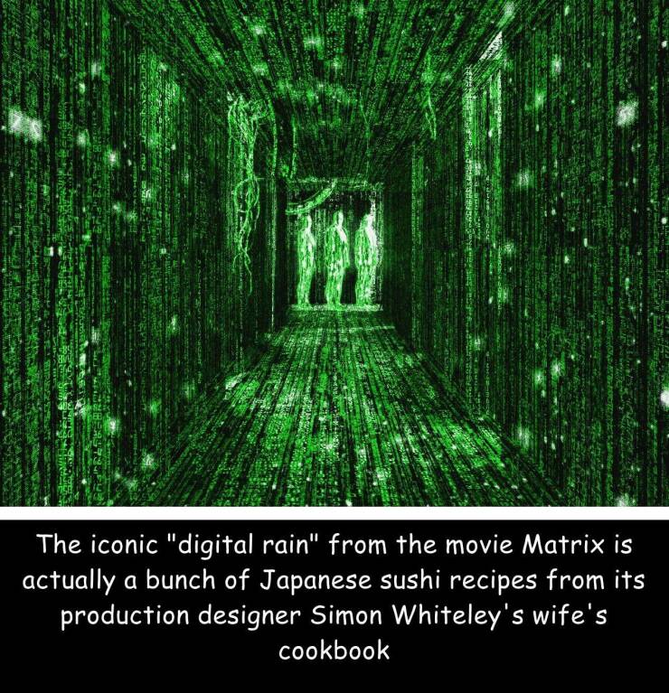 cool pics and funny photos - matrix code - The iconic "digital rain" from the movie Matrix is actually a bunch of Japanese sushi recipes from its production designer Simon Whiteley's wife's cookbook