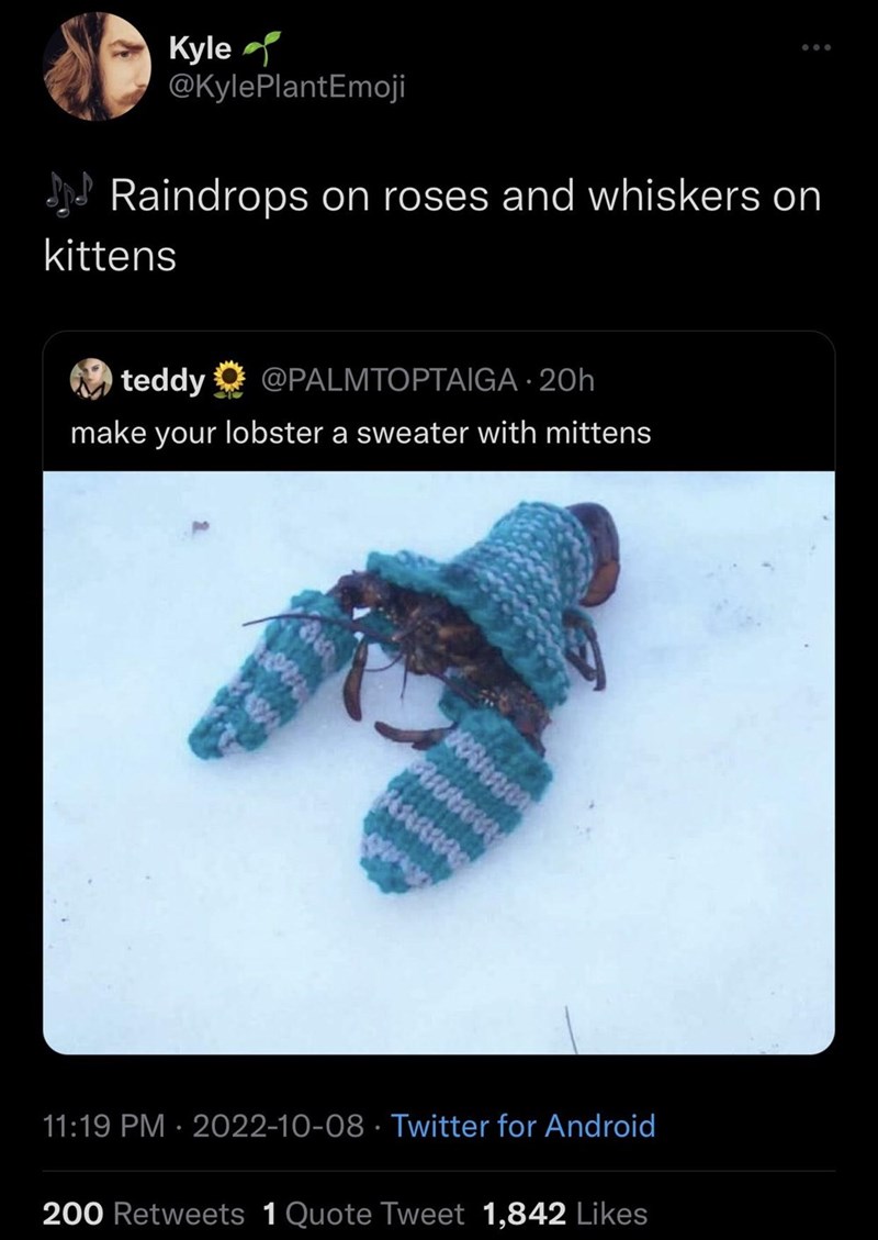 monday morning randomness - photo caption - Kyle Raindrops on roses and whiskers on kittens teddy 20h make your lobster a sweater with mittens Gu Twitter for Android . 200 1 Quote Tweet 1,842