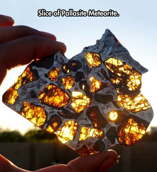 cool random pics and memes - Meteorite - Slice of Pallasite Meteorite.