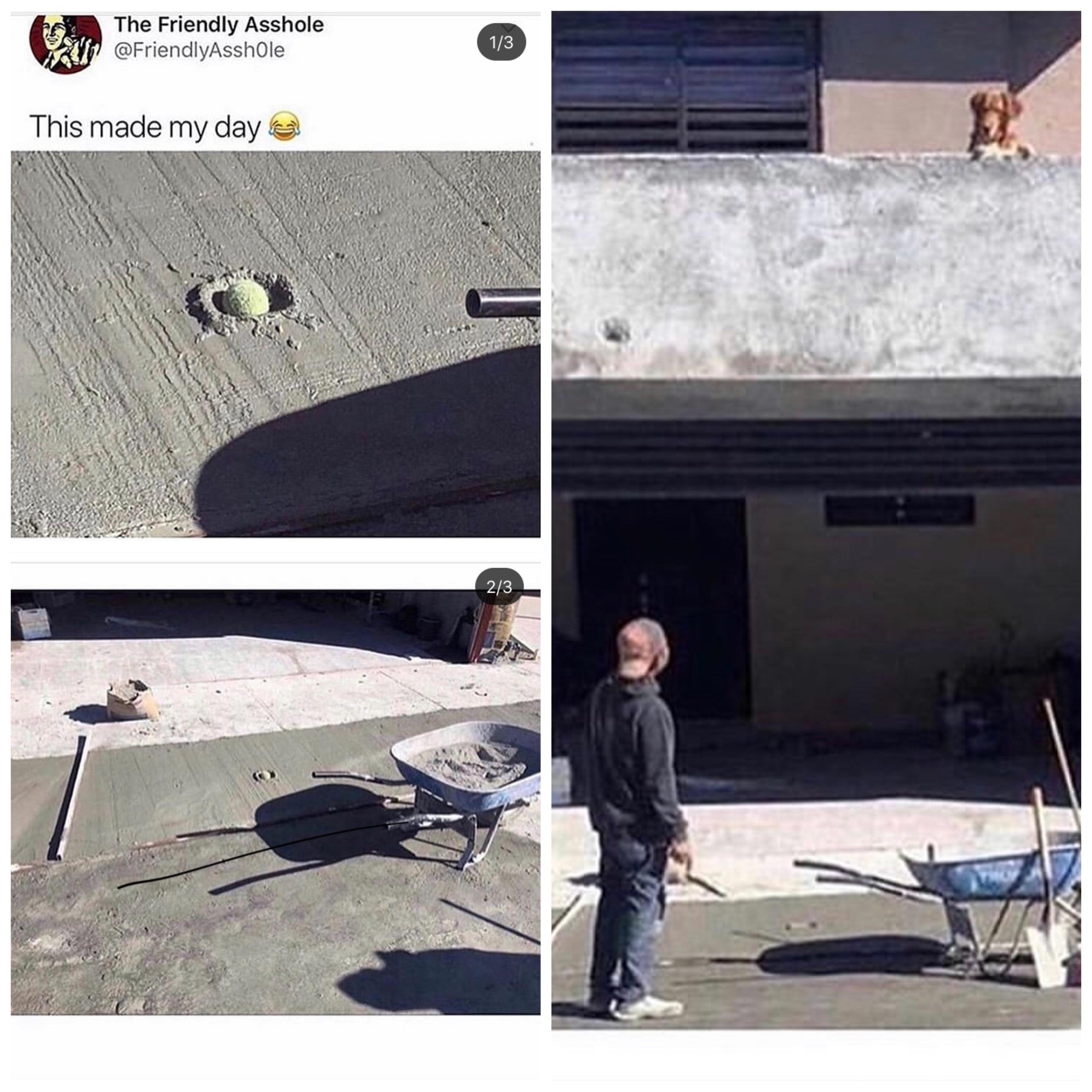 cool random pics and memes - roof - The Friendly Asshole This made my day 13 23