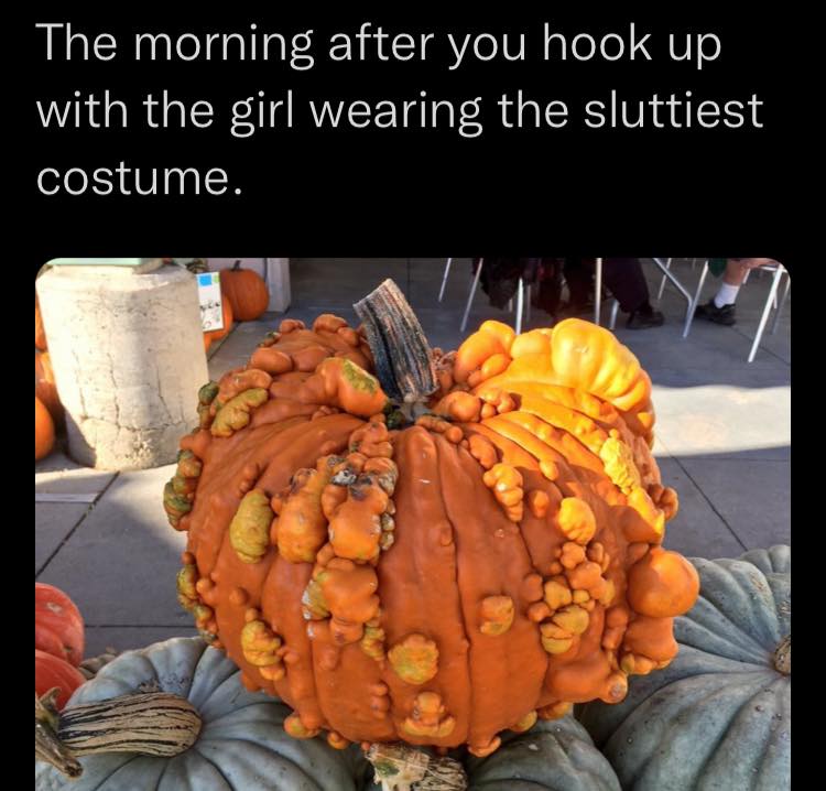 adult themed memes - winter squash - The morning after you hook up with the girl wearing the sluttiest costume.