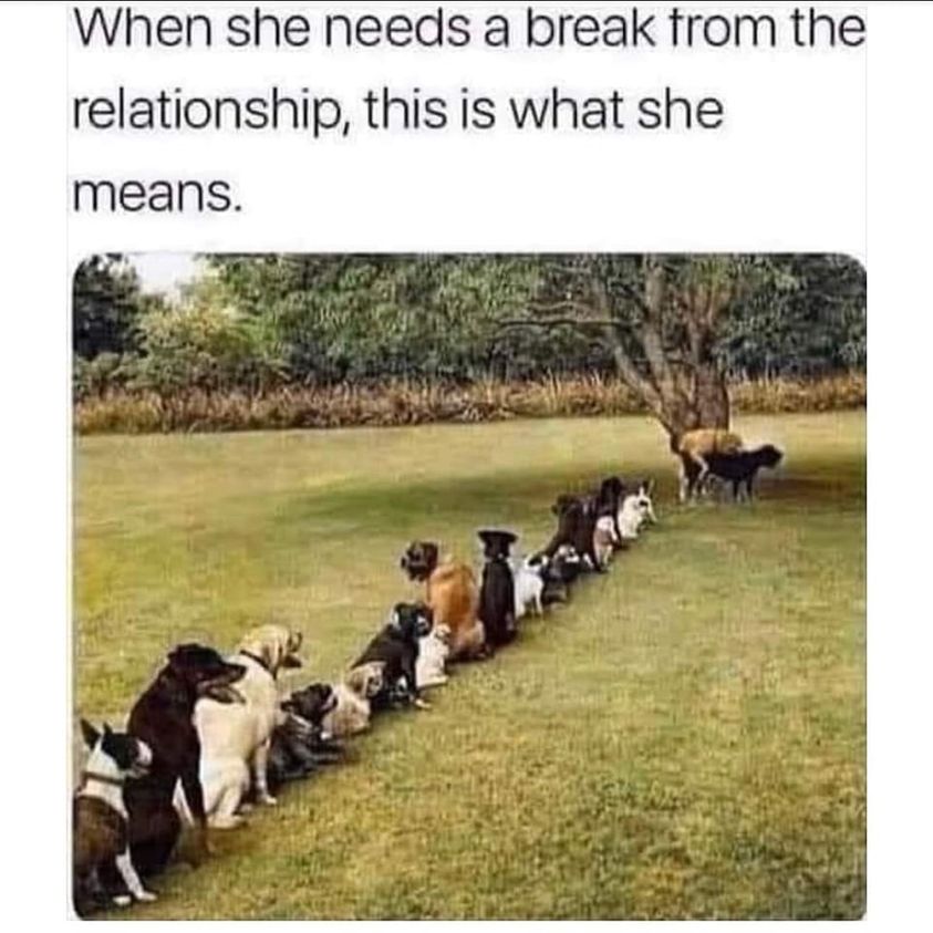 adult themed memes - herd - When she needs a break from the relationship, this is what she means.