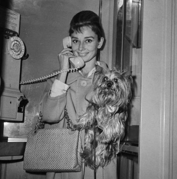 Audrey Hepburn Historical Photos - audrey hepburn and mr famous