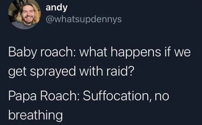 daily dose of pics and memes - baby roach papa roach meme - andy Baby roach what happens if we get sprayed with raid? Papa Roach Suffocation, no breathing
