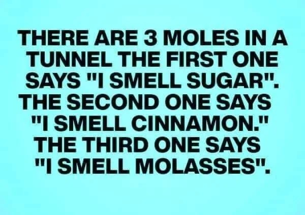 handwriting - There Are 3 Moles In A Tunnel The First One Says "I Smell Sugar". The Second One Says "I Smell Cinnamon." The Third One Says "I Smell Molasses".