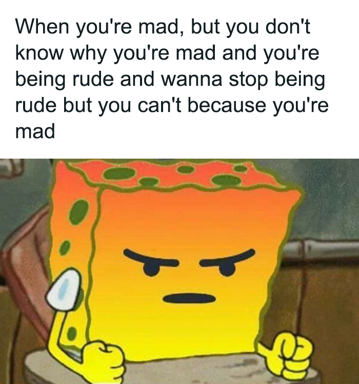 cartoon - When you're mad, but you don't know why you're mad and you're being rude and wanna stop being rude but you can't because you're mad