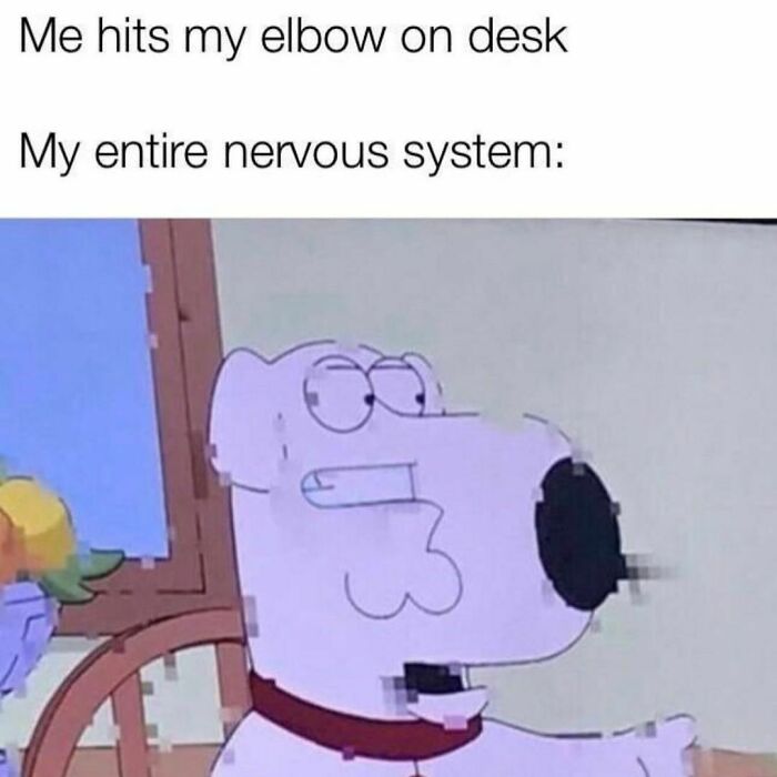 cartoon - Me hits my elbow on desk My entire nervous system 13