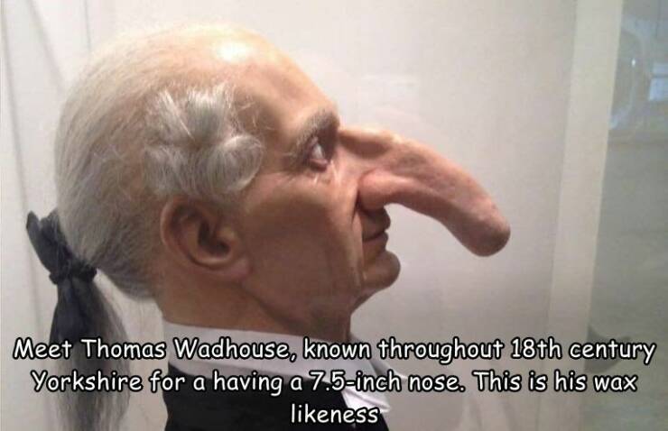 cool pics - head - Meet Thomas Wadhouse, known throughout 18th century Yorkshire for a having a 7.5inch nose. This is his wax ness