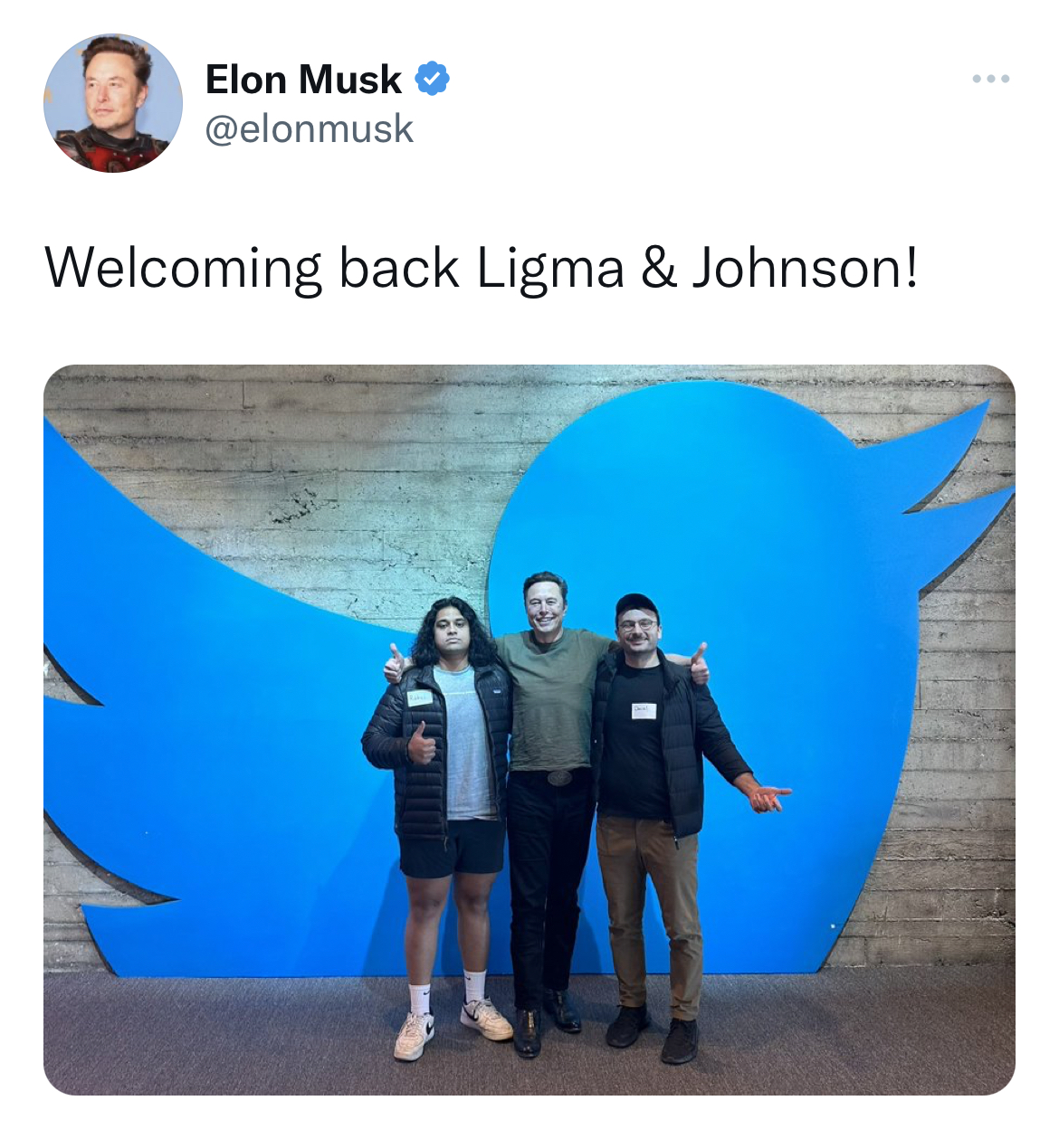 Tweets dunking on celebs - communication - Elon Musk Welcoming back Ligma & Johnson!