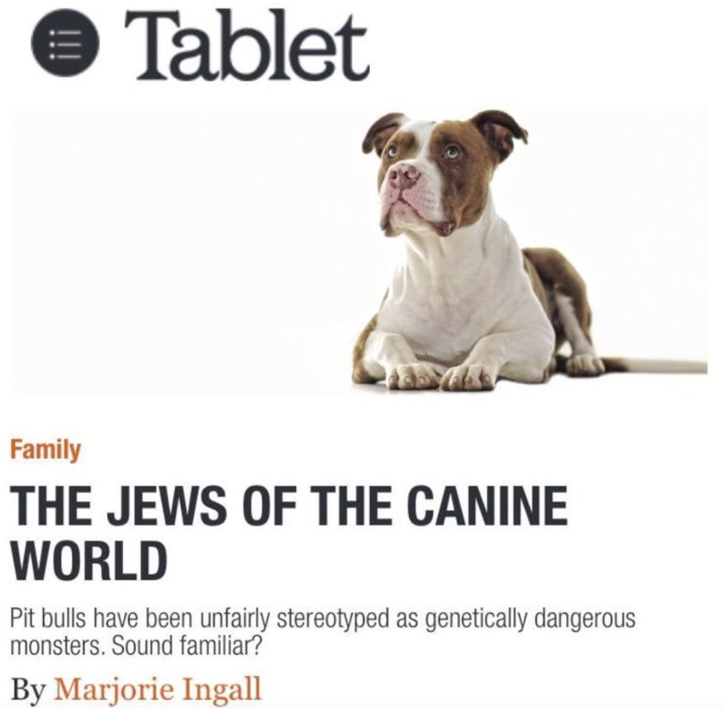 Face-Plants and Fails - dog - Tablet Family The Jews Of The Canine World Pit bulls have been unfairly stereotyped as genetically dangerous monsters. Sound familiar?