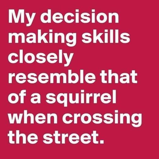 funny memes and pics the daily dose - funny impulsive quotes - My decision making skills closely resemble that of a squirrel when crossing the street.