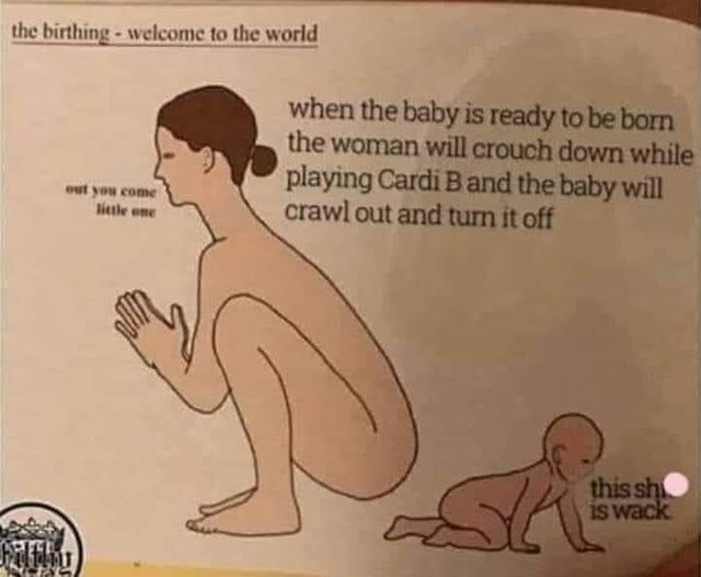 funny memes and pics the daily dose - Childbirth - the birthingwelcome to the world out you come little one when the baby is ready to be born the woman will crouch down while playing Cardi B and the baby will crawl out and turn it off Ja this shi is wack