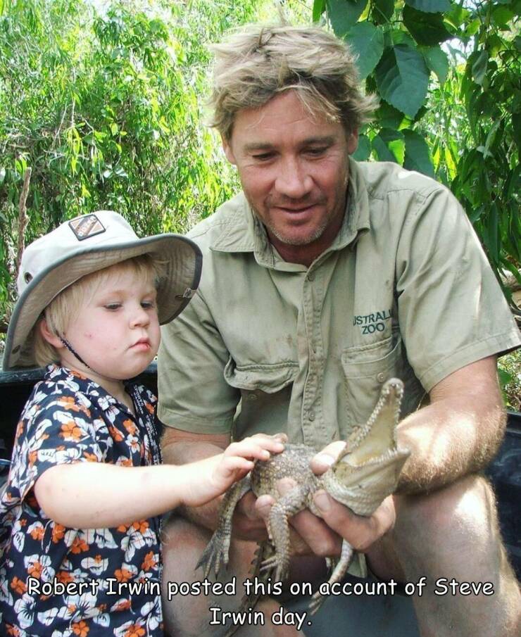 random pics - tree - N Ustral Zoo Robert Irwin posted this on account of Steve Irwin day.