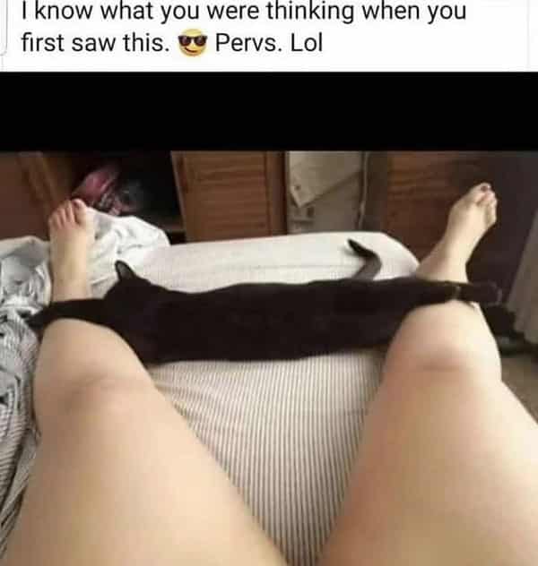 spicy memes for thirsty thursday - sex adult memes - I know what you were thinking when you first saw this. Pervs. Lol