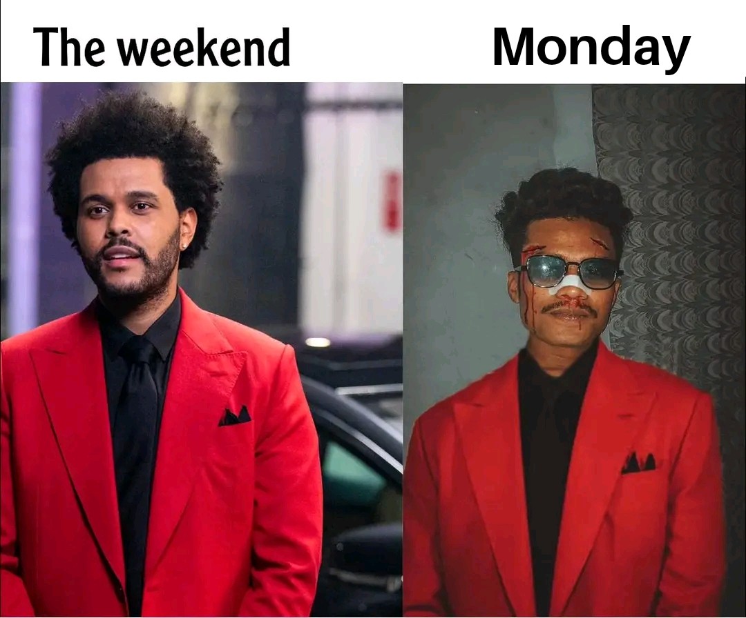 funny pics and memes - The weekend Monday Smar Cccc