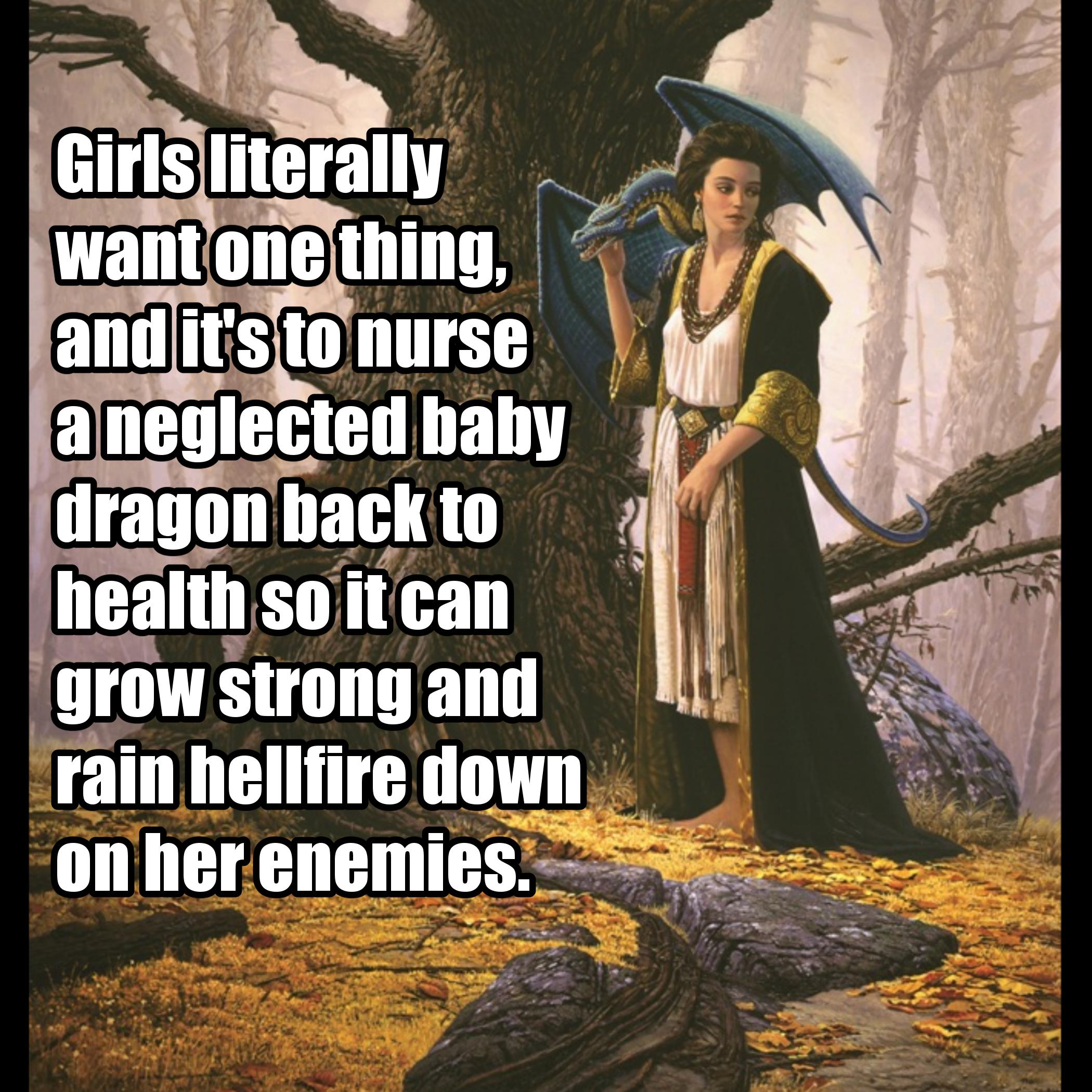 funny pics and memes - religion - Girls literally want one thing, and it's to nurse a neglected baby dragon back to health so it can grow strong and rain hellfire down on her enemies.