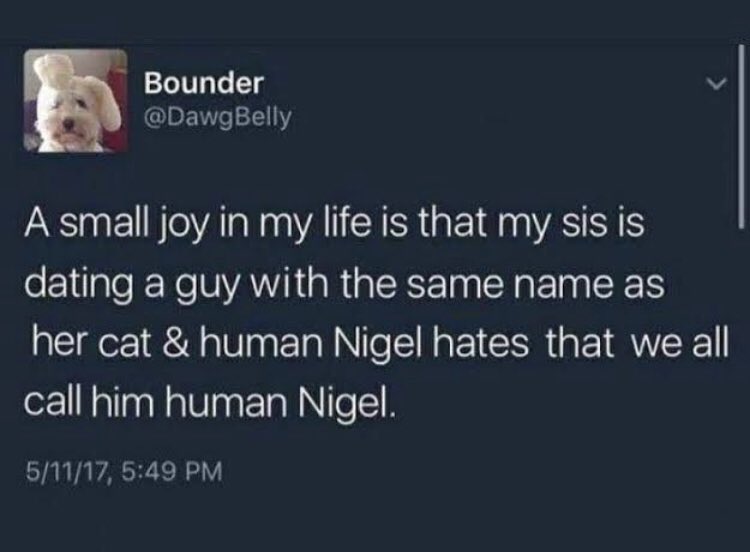 Best Tweets of All Time - Bounder A small joy in my life is that my sis is dating a guy with the same name as her cat & human Nigel hates that we all call him human Nigel. 51117,