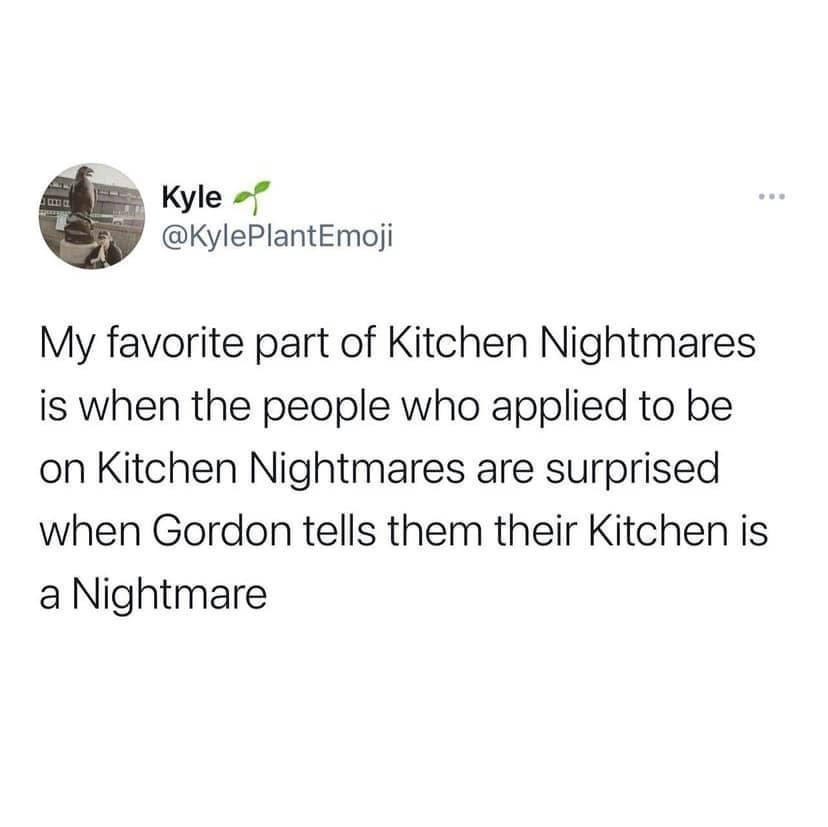 funny memes and cool pics - E Kyle My favorite part of Kitchen Nightmares is when the people who applied to be on Kitchen Nightmares are surprised when Gordon tells them their Kitchen is a Nightmare