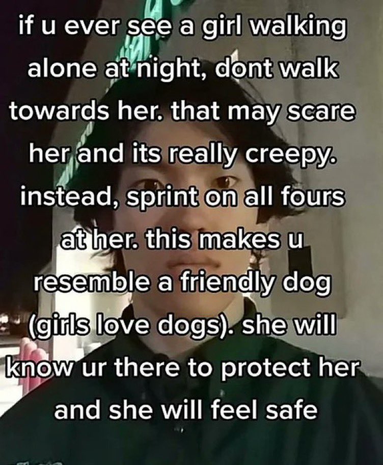 chaotic tiktok screenshots - Internet meme - if u ever see a girl walking alone at night, dont walk towards her. that may scare her and its really creepy. instead, sprint on all fours at her. this makes u resemble a friendly dog girls love dogs. she will 