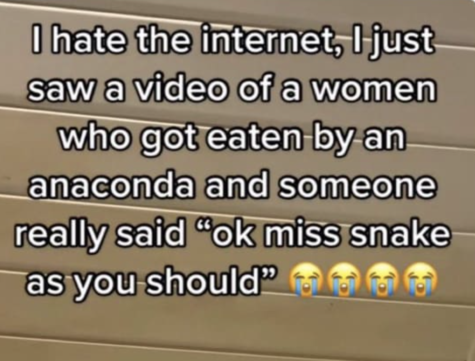 chaotic tiktok screenshots - document - I hate the internet, I just saw a video of a women who got eaten by an anaconda and someone really said "ok miss snake as you should"