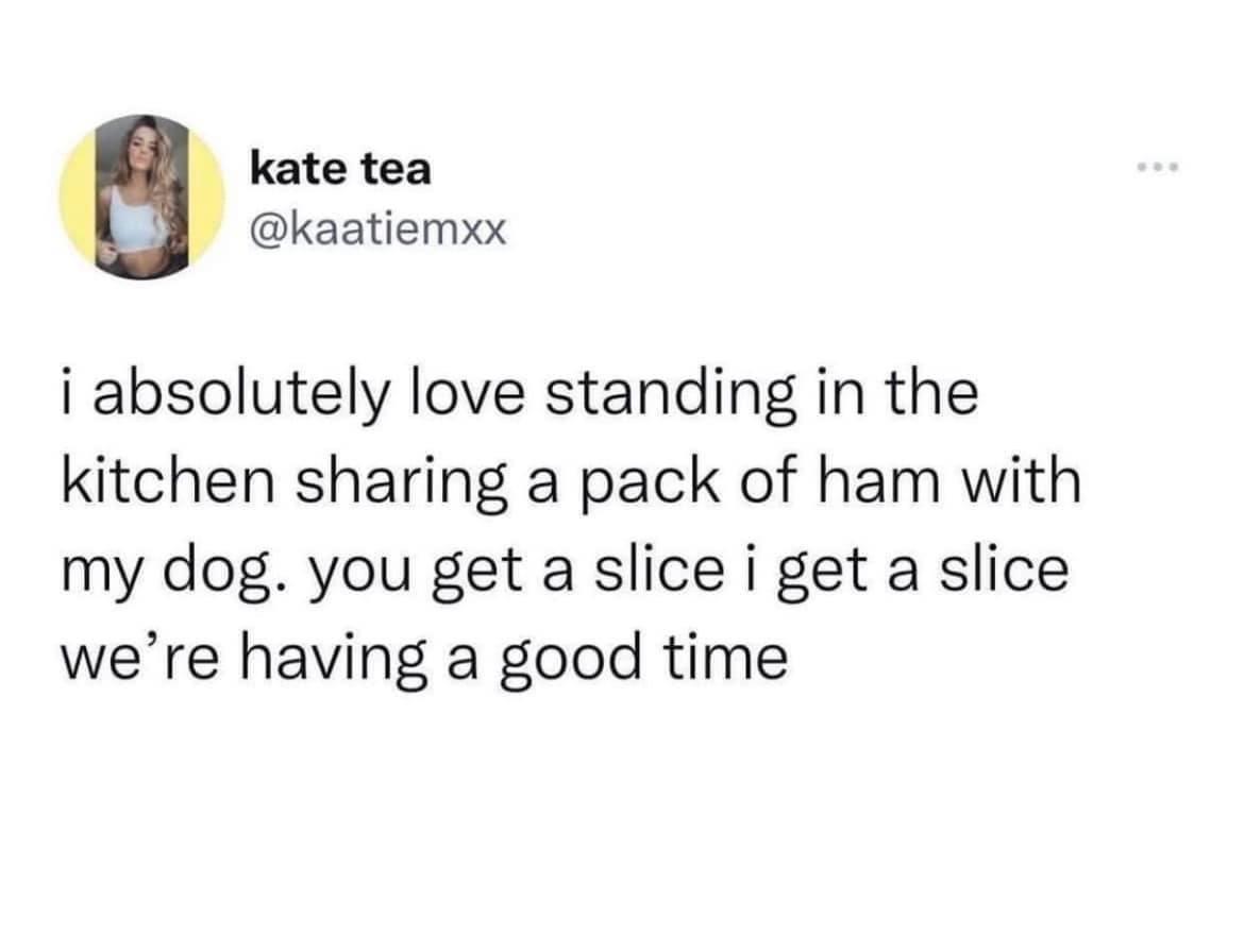 cool pics and funny memes - paper - kate tea i absolutely love standing in the kitchen sharing a pack of ham with my dog. you get a slice i get a slice we're having a good time
