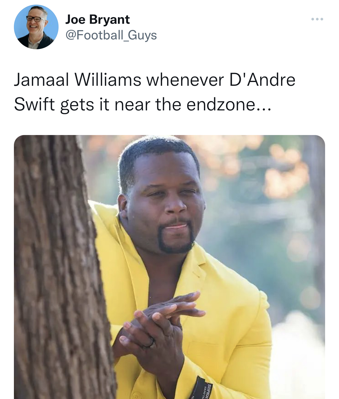 tweets roasting celebs - photo caption - Joe Bryant Guys Jamaal Williams whenever D'Andre Swift gets it near the endzone...