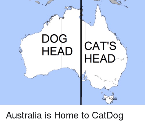 Fascinating maps - australia cat dog meme - Dog Head Cat'S Head Cat Food Australia is Home to CatDog