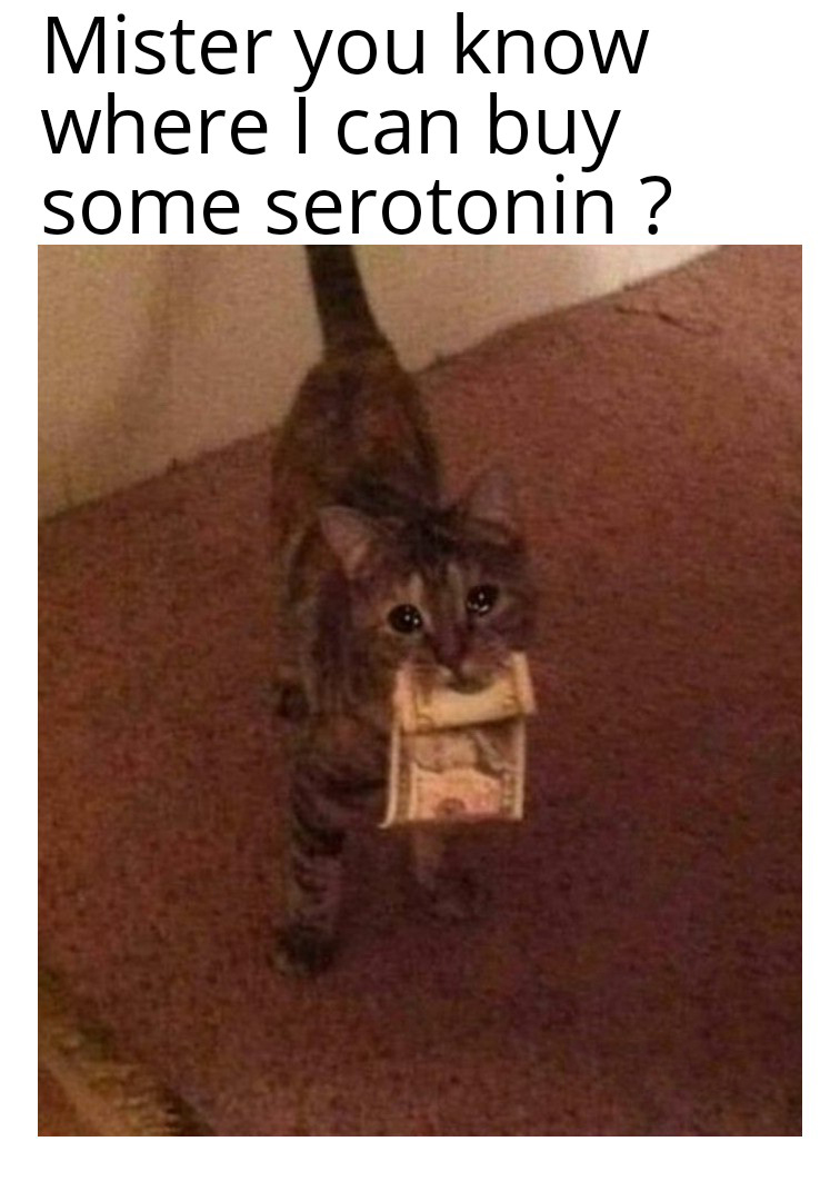 funny and dank memes - fauna - Mister you know where I can buy some serotonin ?