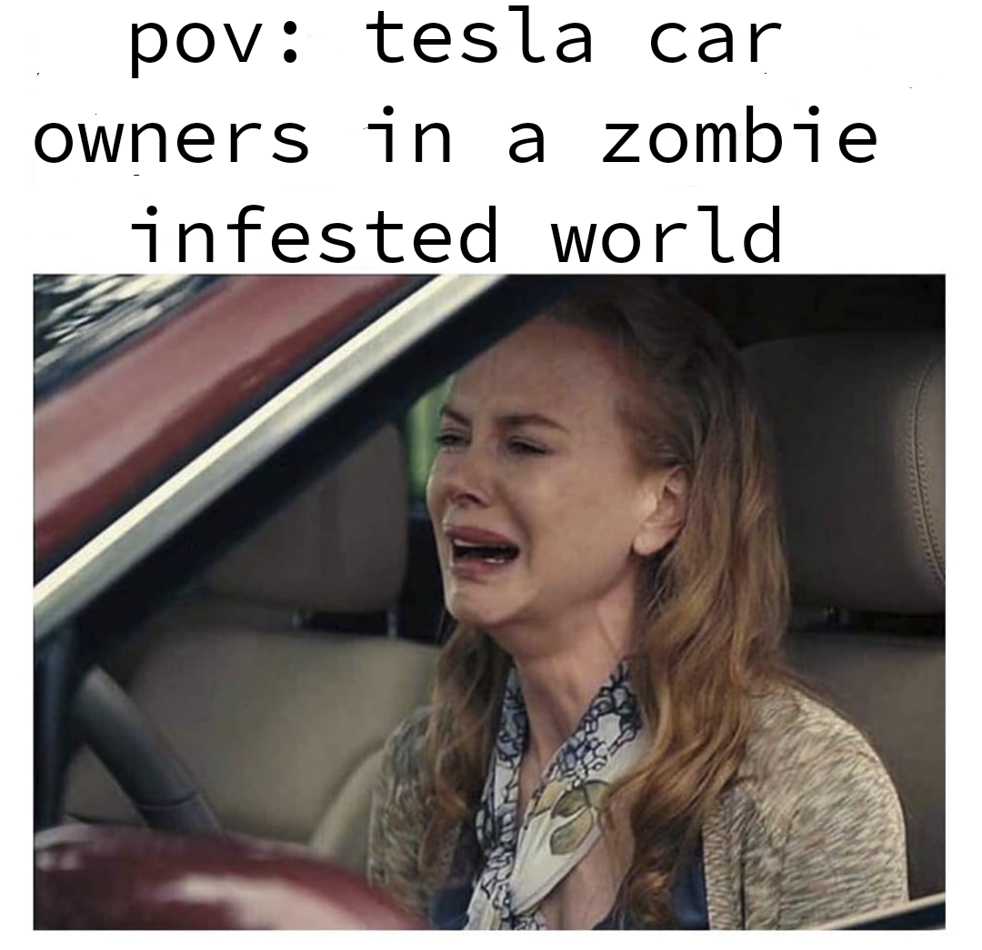 funny and dank memes - photo caption - pov tesla car owners in a zombie infested world